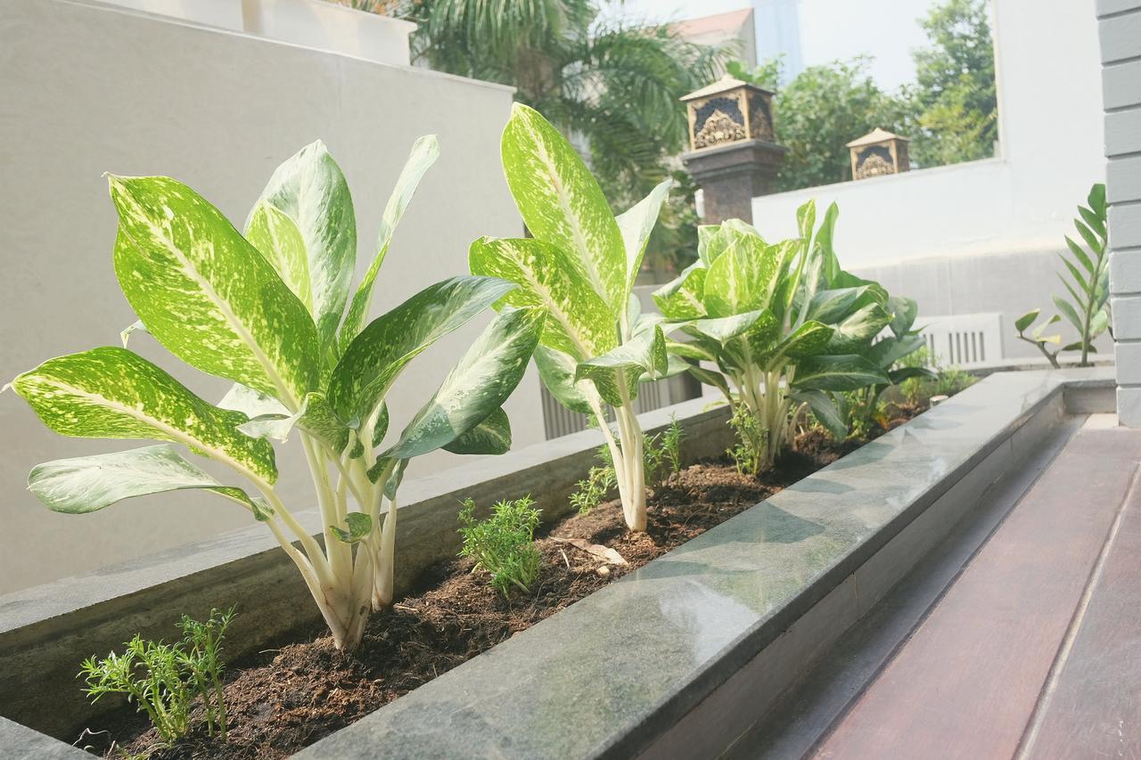 Greenwood Villa Saigon Ho Chi Minh-Byen Eksteriør billede